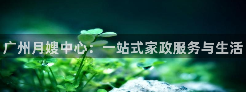 杏悦平台登录地址是什么