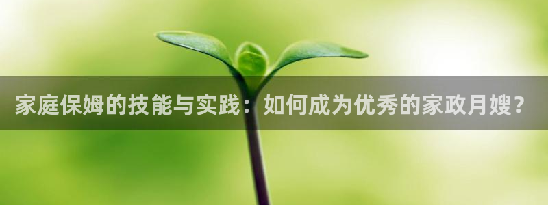 杏悦平台代理怎么做的