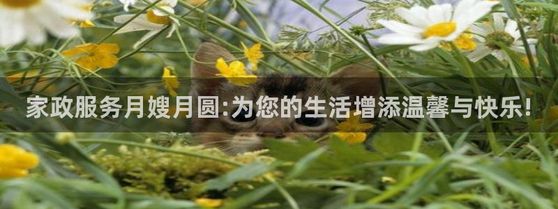 杏悦平台可靠吗