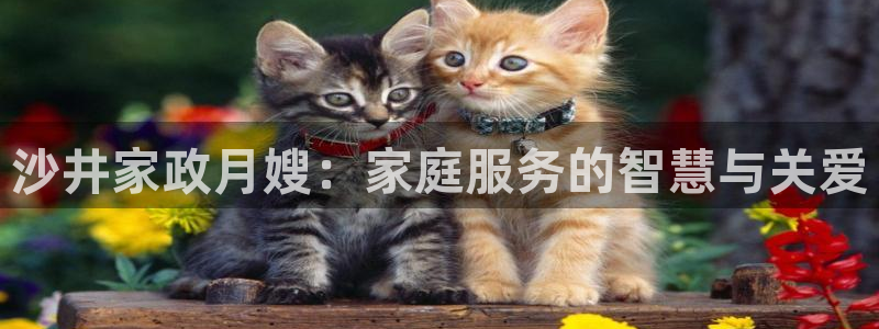 杏悦 -首选推荐平台