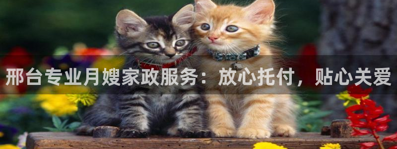 杏悦是什么平台