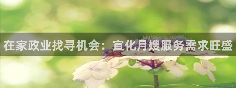 杏悦官方平台官网