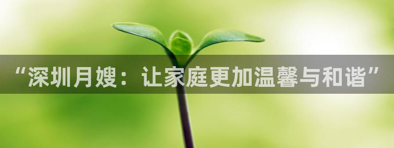 杏悦平台线路测速