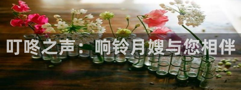 杏悦平台代理注册要钱吗