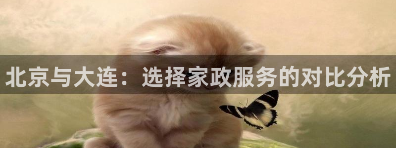 杏悦官方平台官网入口