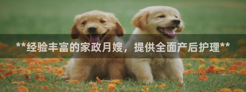 杏悦平台注册流程