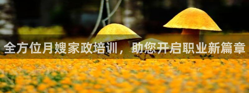 杏悦平台登录网址是多少