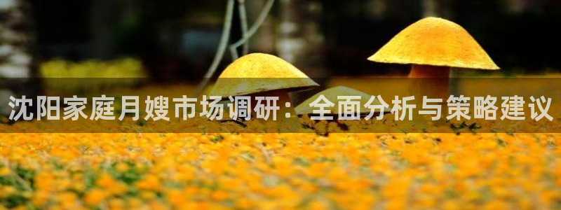 杏悦官方平台官网首页